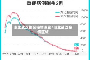 湖北武汉地区疫情查询/湖北武汉疫情区域