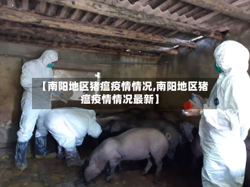【南阳地区猪瘟疫情情况,南阳地区猪瘟疫情情况最新】-第2张图片