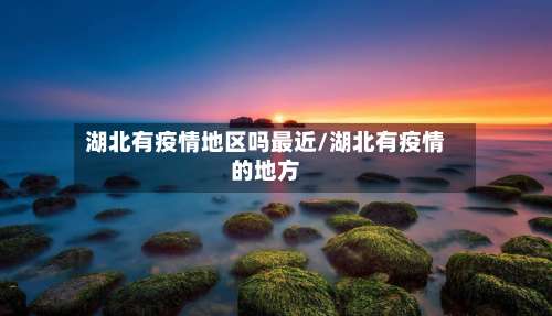 湖北有疫情地区吗最近/湖北有疫情的地方-第1张图片