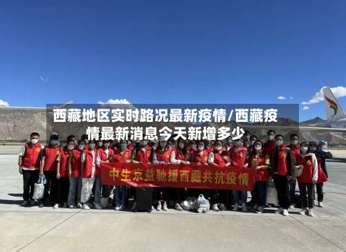 西藏地区实时路况最新疫情/西藏疫情最新消息今天新增多少-第2张图片