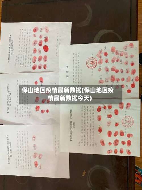 保山地区疫情最新数据(保山地区疫情最新数据今天)-第3张图片