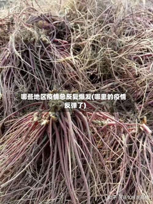 哪些地区疫情总反复爆发(哪里的疫情反弹了)-第2张图片